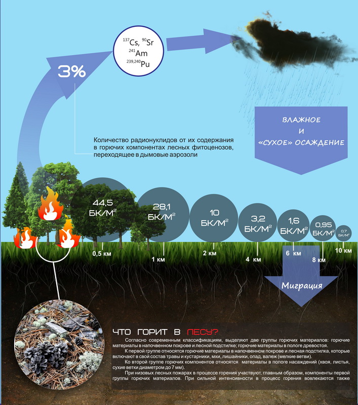 Схема атмосферного переноса радионуклидов с дымом лесных пожаров, авторы схемы: доктор биологических наук Александр Михайлович Дворник, кандидат биологических наук Александр Александрович Дворник