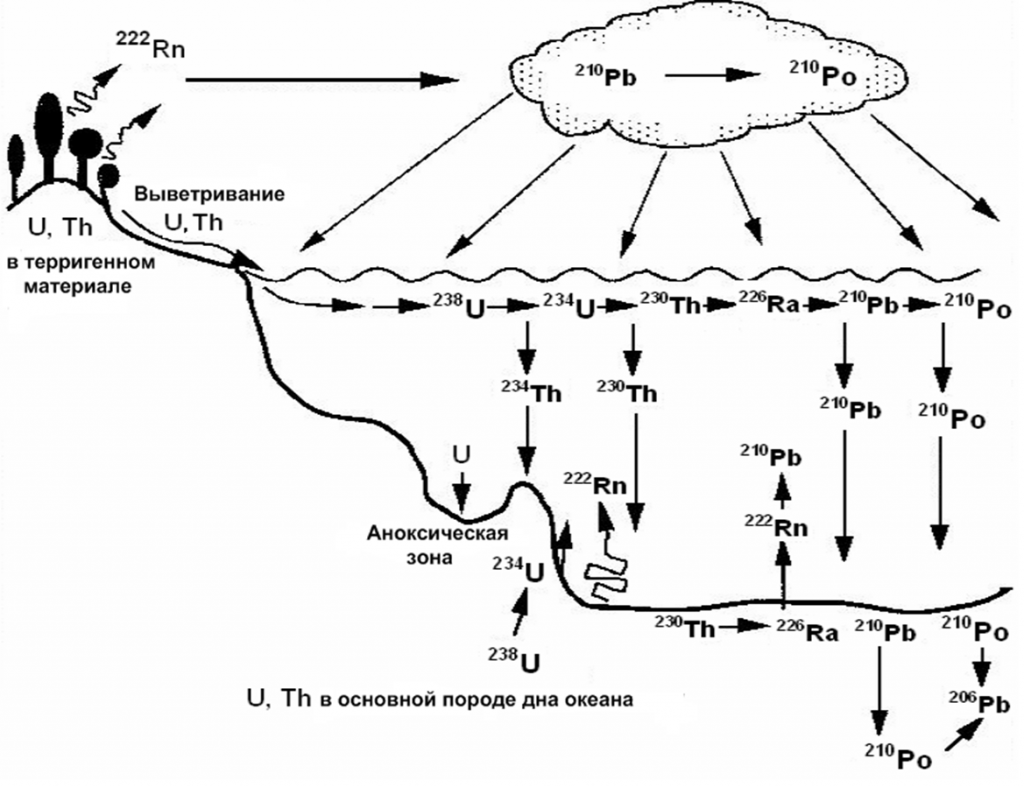 Рисунок 1 – Перераспределение продуктов распада U-238 в биосфере