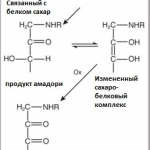 На что расщепляется глюкоза в организме. Смотреть фото На что расщепляется глюкоза в организме. Смотреть картинку На что расщепляется глюкоза в организме. Картинка про На что расщепляется глюкоза в организме. Фото На что расщепляется глюкоза в организме
