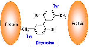 http://www.jaica.com/e/products_protein_dt_ab.html