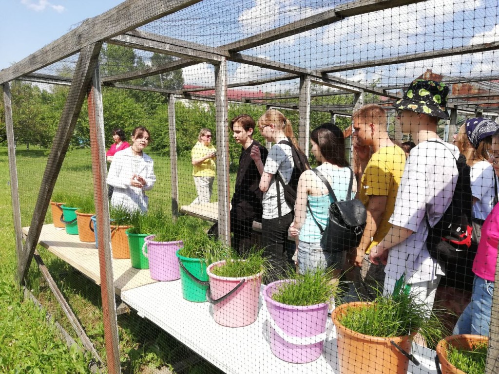 photo_2022-06-10_08-33-30