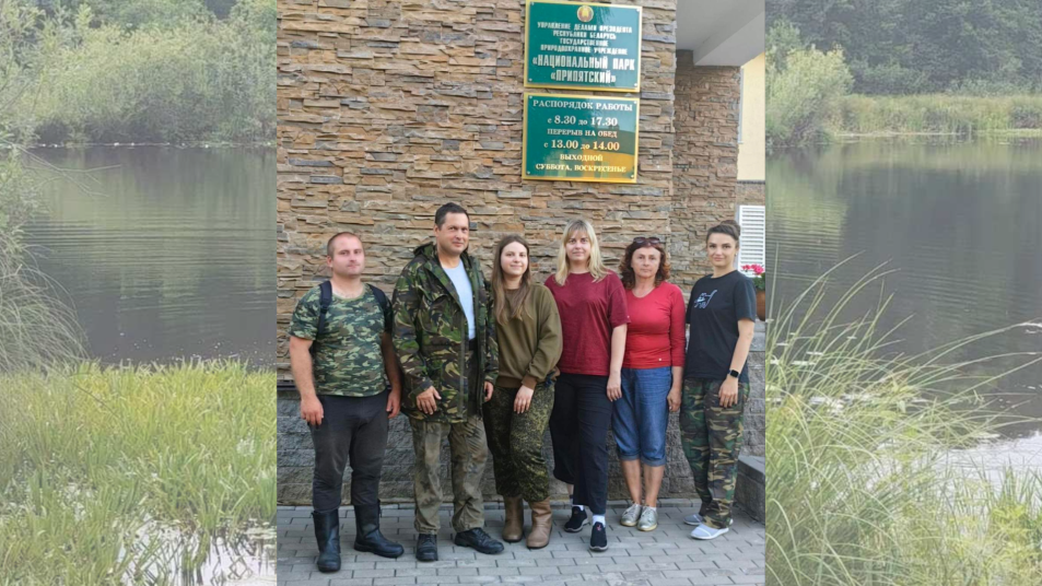 Дизайн без названия